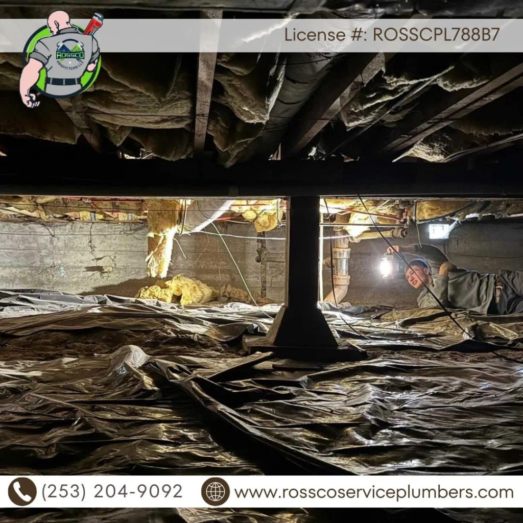Dimly lit crawl space with plumbing