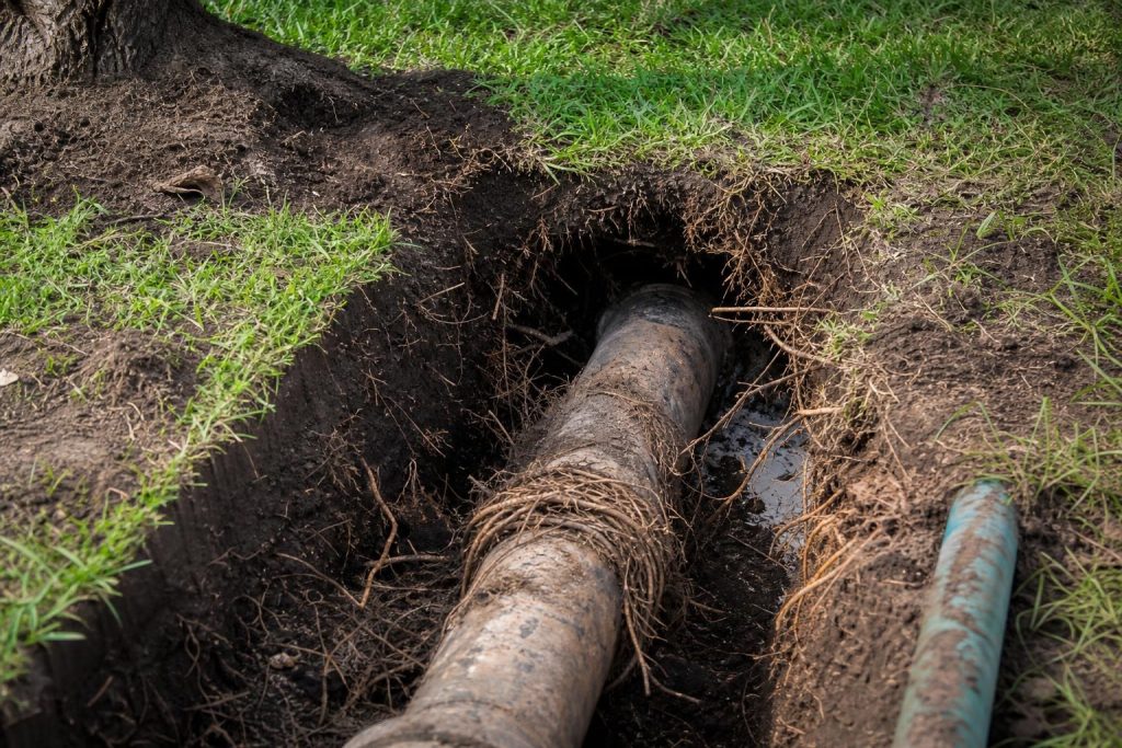 Exposed underground sewer pipe in a dirt trench with thick tree roots wrapped tightly around the exterior.